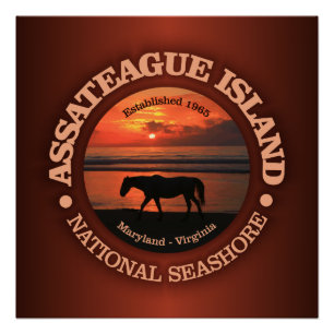 Pôster Litoral do nacional da ilha de Assateague