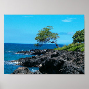 Poster Litoral havaiano