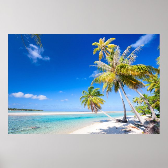 Pôster Litoral tropical (Frente)