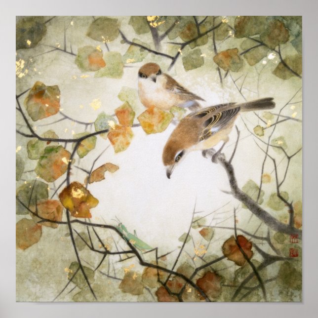 Pôster Little Creature-Bull-headed Shrikes (Frente)