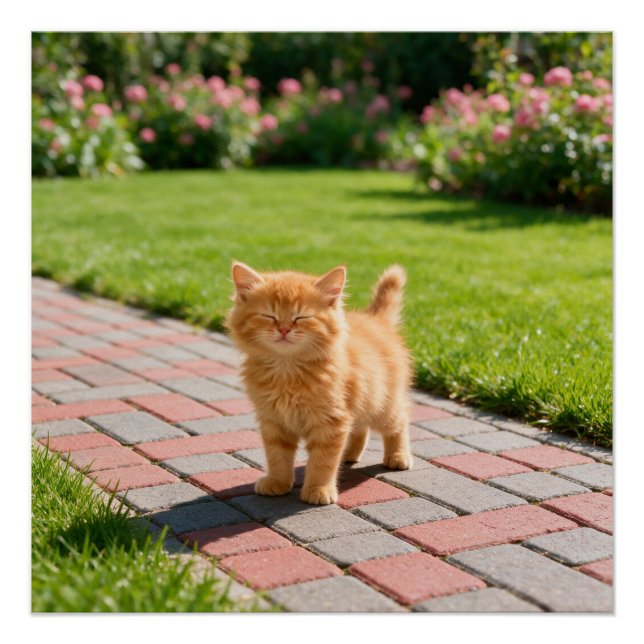 Pôster Little cute  orange cat  (Frente)