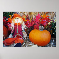 Little Mister Scarecrow