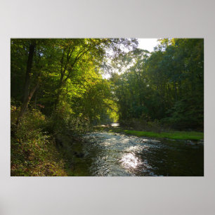 Poster Little Patuxent River de Savage Park