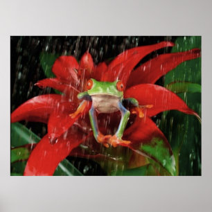 Pôster Little_Rain_(4)