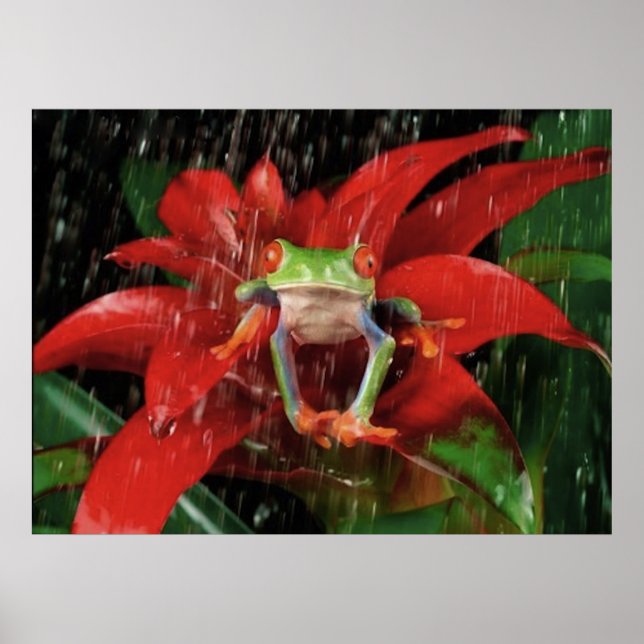 Pôster Little_Rain_(4) (Frente)