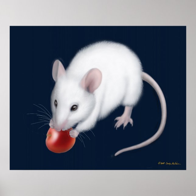 Pôster Little White Mouse Print (Frente)