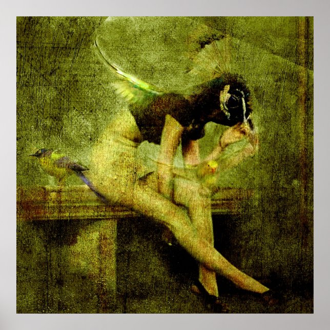 Pôster Little Wing por Patrick Burke (Frente)