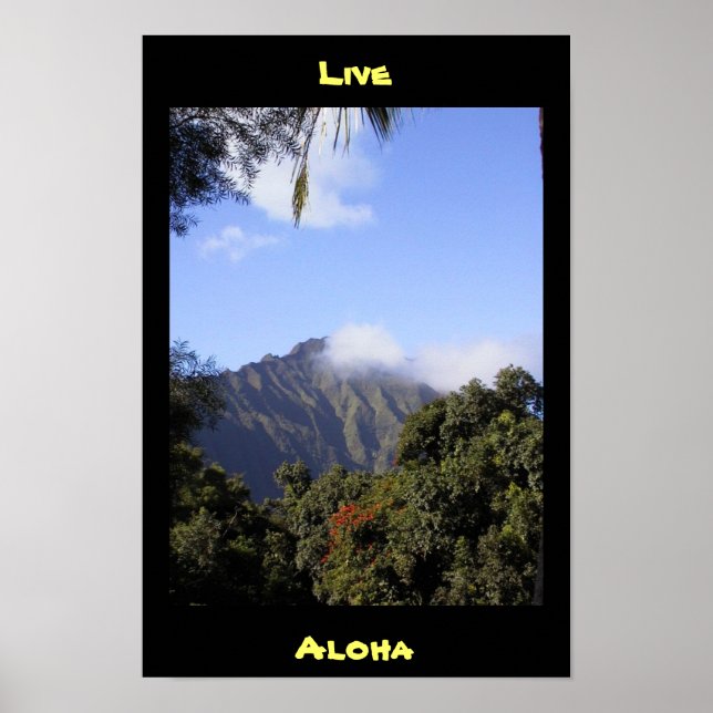Pôster Live Aloha (Frente)