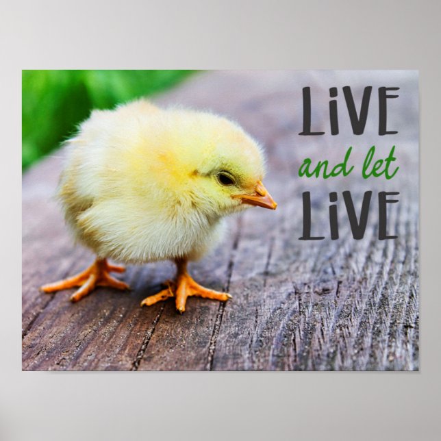 Poster "Live and let live" com vegetação pintinho-branca (Frente)