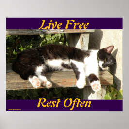 Poster "Live Free", Smiler, cute, cat, gift