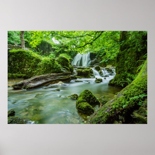 Poster Live in Harmony (Frente)