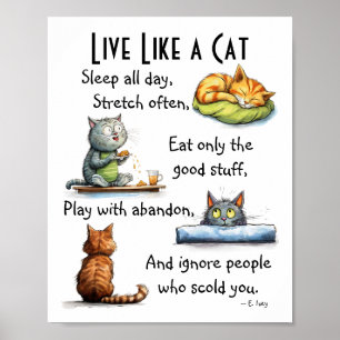 Poster Live Like a Cat Humorous Cartoon Wall Art