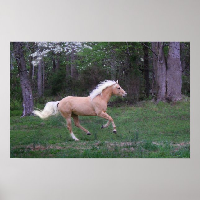 Poster Livre de cuidados (Frente)