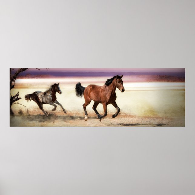 POSTER LIVRE PARA SER CAVALOS CORRENTES SELVAGENS (Frente)