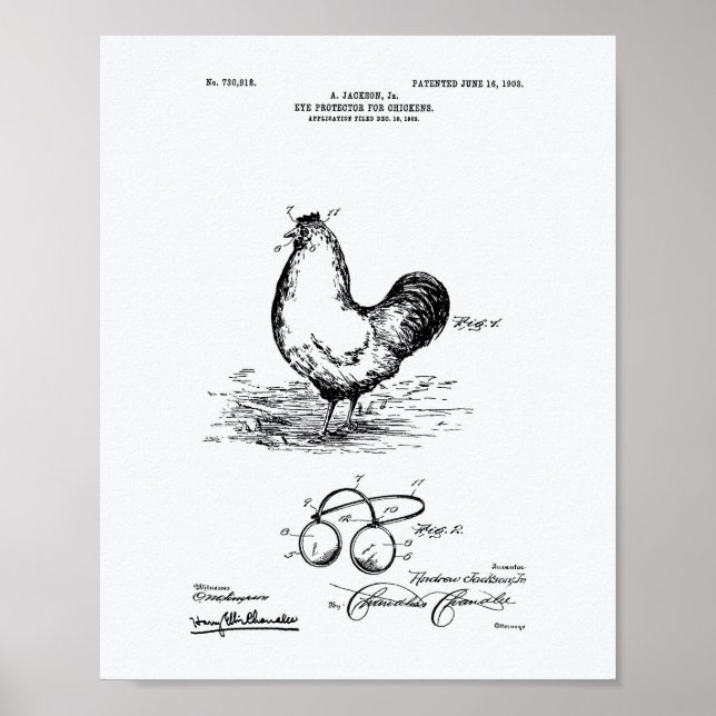 Pôster Livro Branco sobre Proteção de Olhos Galinhas 1903 (Frente)