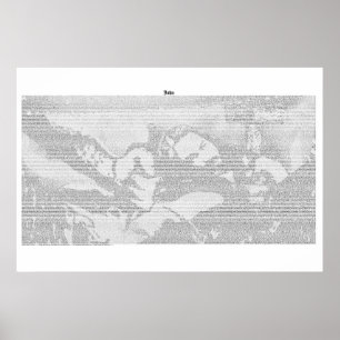 Pôster Livro de John (texto completo do KJV)