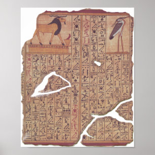 Poster Livro do Morto - Ani