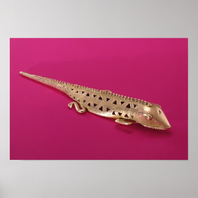 Pôster Lizard, da Colômbia (Frente)