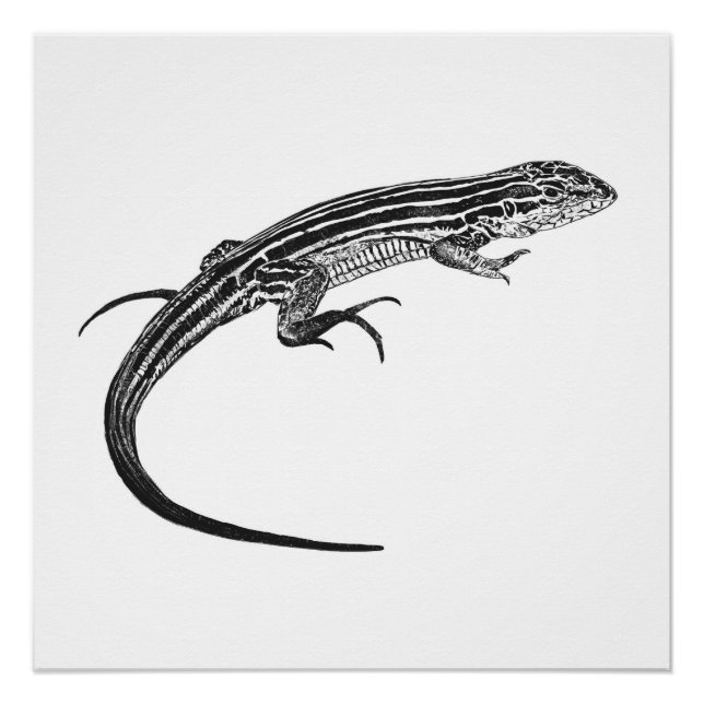 Pôster Lizard Monochrome Print (Frente)