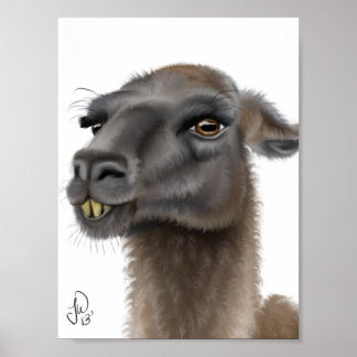 Pôster Llama