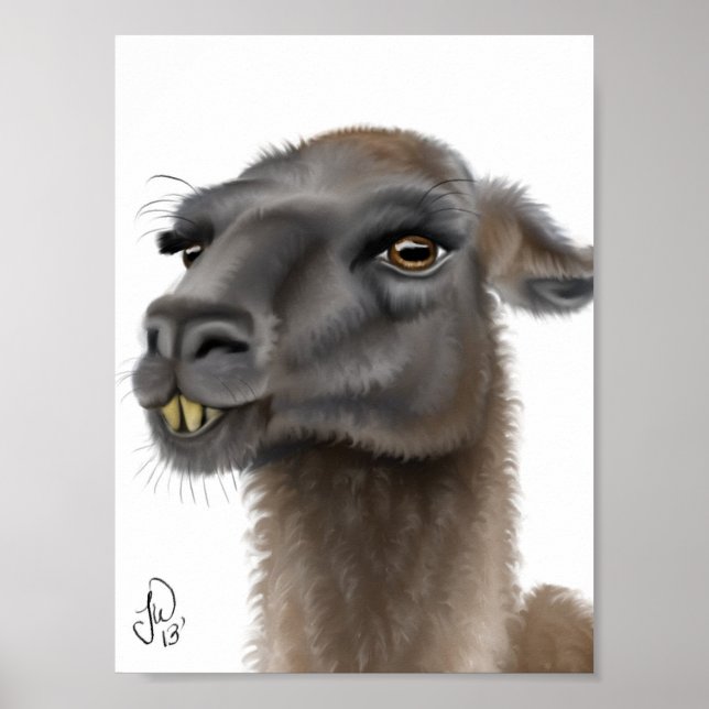 Pôster Llama (Frente)