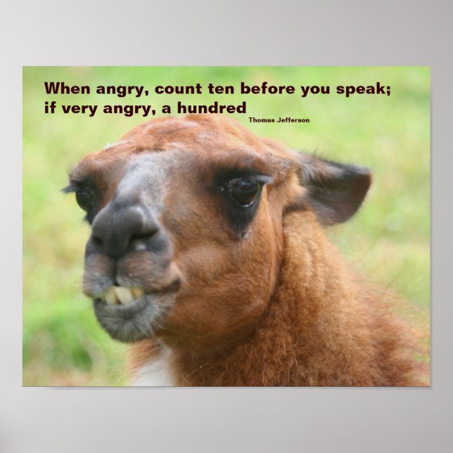 Pôster Llama Anger Quote Inspirational (Frente)