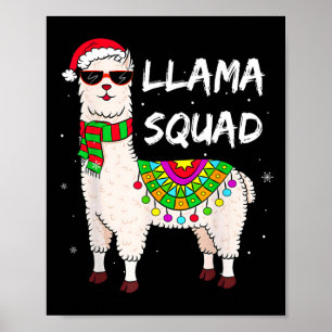 Poster Llama Divorcido no Esquadrão Llama Correspondente 