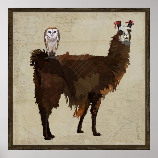 Poster LLAMA e OWL (Frente)