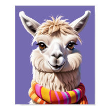 Llama estupefado em calor: Edição Scarf