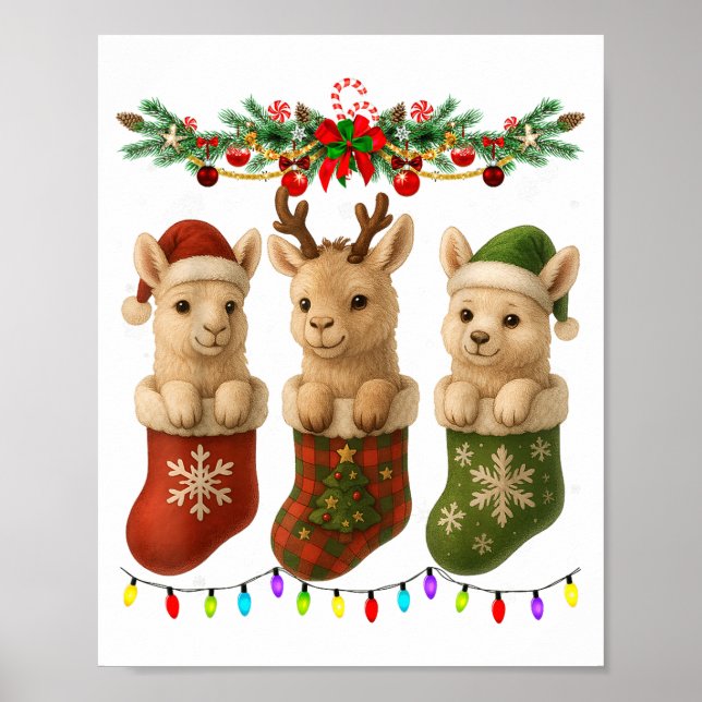 Poster Llama In Christmas Socks Lights Llama Xmas  (Frente)