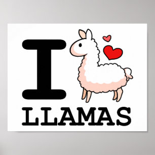 Pôster Llama Llamas