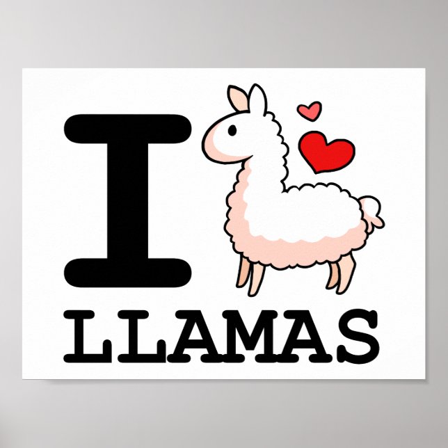 Pôster Llama Llamas (Frente)