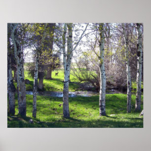 Poster Llama por árvores