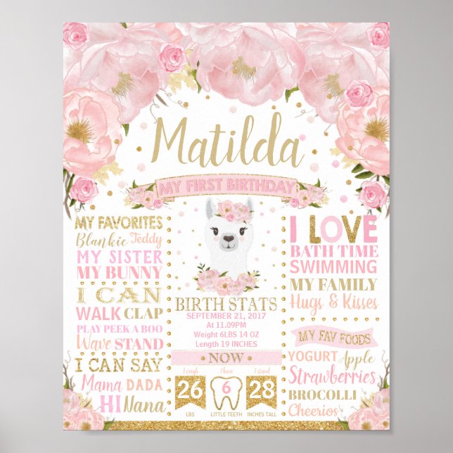 Poster Llama primeiro aniversario Marcos Sinal de Estatís (Frente)