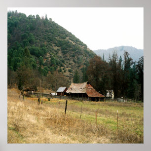 Poster Llama Ranch......