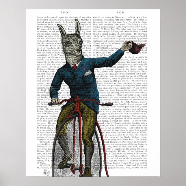 Poster Llama sobre bicicleta (Frente)