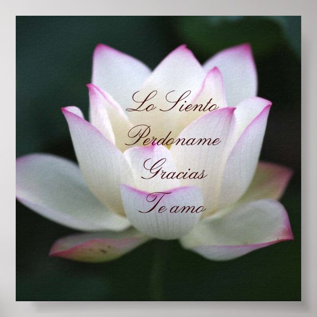 Pôster Lo Siento, Perdoname, Gracias, Te Amo (Frente)