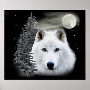 Poster lobo ártico