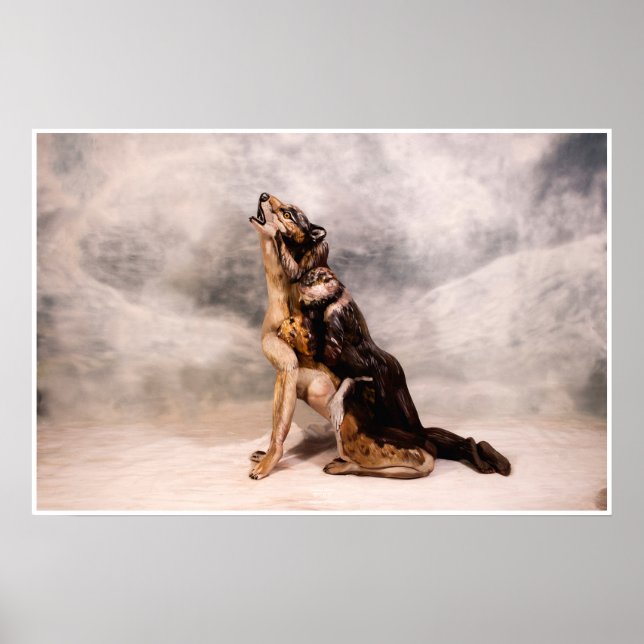 Poster Lobo Bodypainting ilusão (Frente)