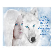 Lobo Branco da Neve Lady Blue Eyes