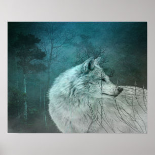 Poster Lobo Cinza bonito numa Floresta Escura