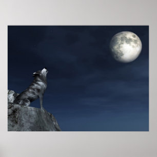 Poster Lobo de grito