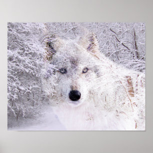 Poster Lobo-de-inverno