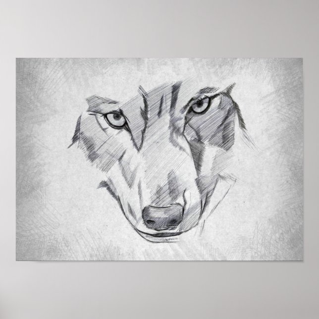 Poster Lobo - Desenho Gráfico (Frente)