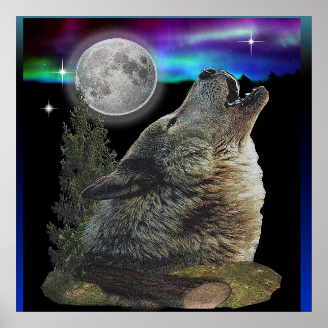 Poster lobo e Lua (Frente)