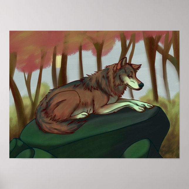 Poster Lobo Europeu (Frente)