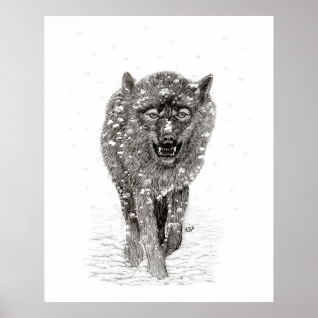 Poster Lobo Negro Zangado na Neve, inverno selvagem (Frente)