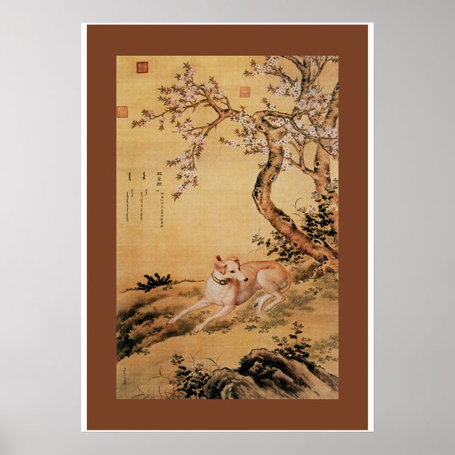 Poster Lobo Shanxing (睒 星 狼)~Greyhound Giuseppe Castiglio (Frente)