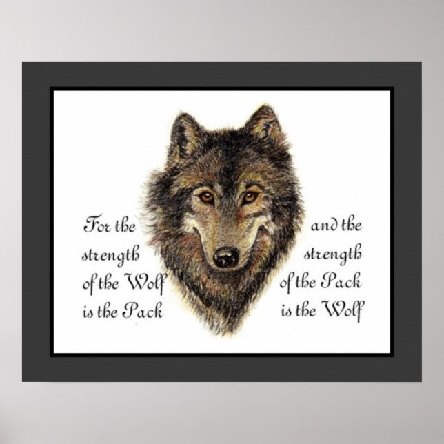 Pôster Lobos, Cota de Lobo e Pacote de Aquarelas, Naturez (Frente)