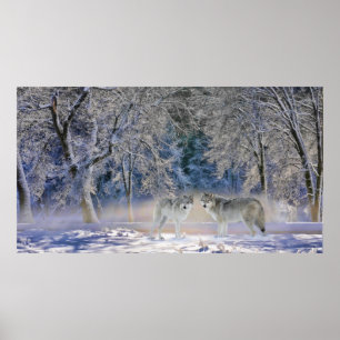 Pôster Lobos De Yellowstone